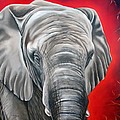 Elephant six of eight